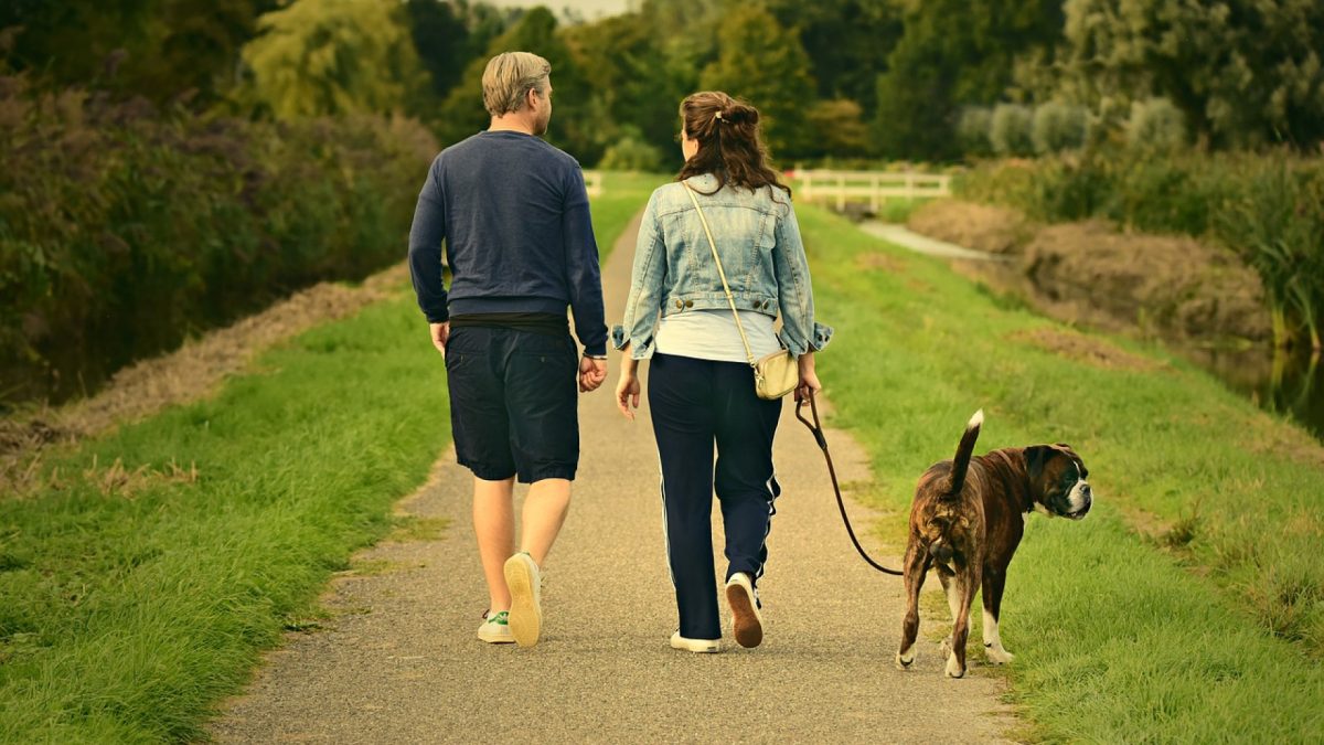 Le canicross : quels sont les avantages ?