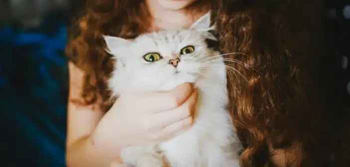 une petite fille avec un chat dans les bras