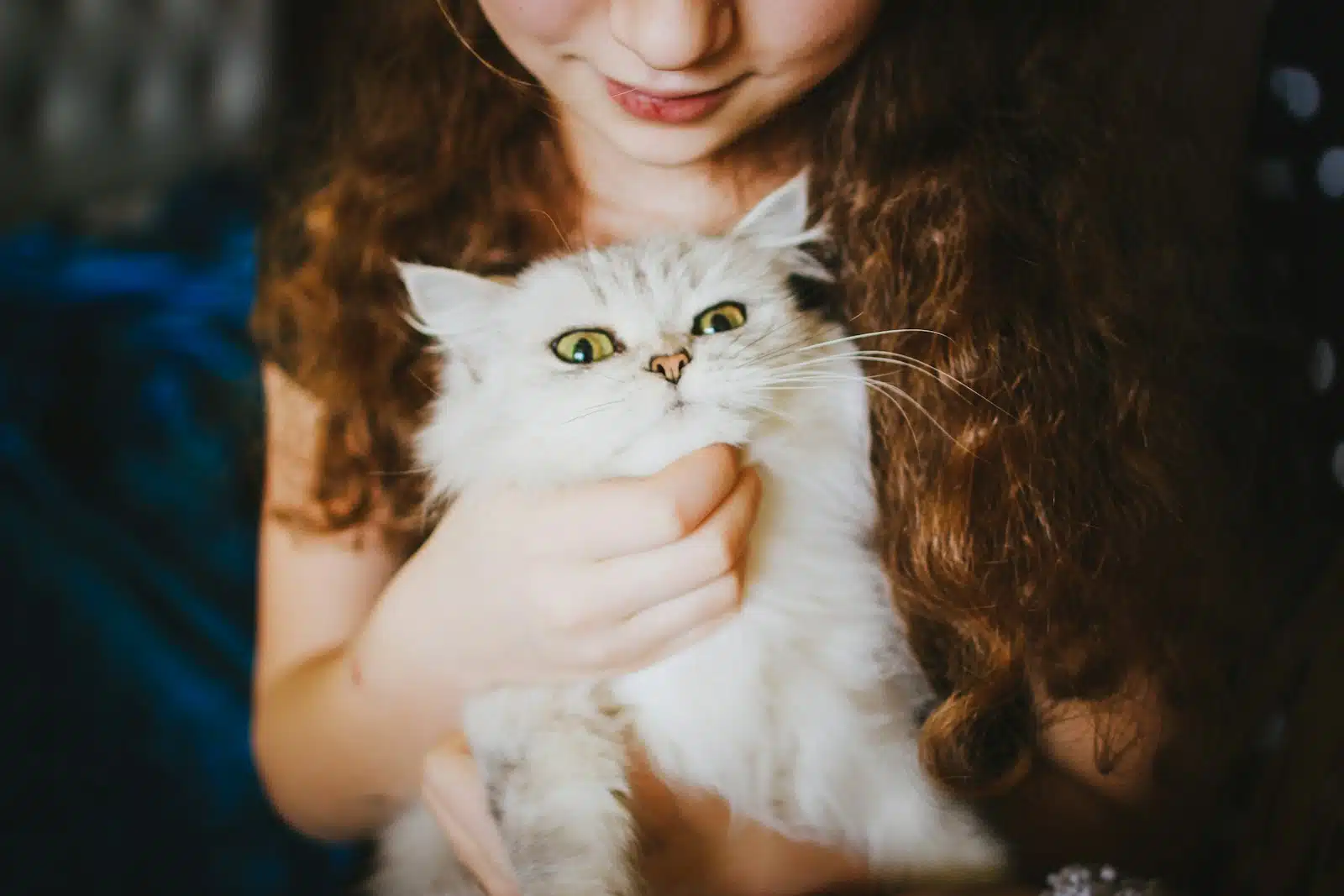 une petite fille avec un chat dans les bras