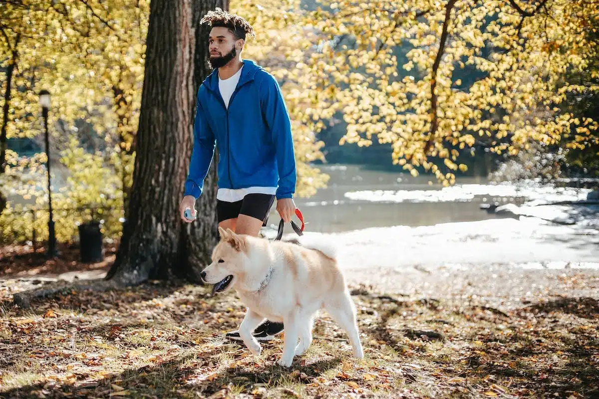 chien  garderie