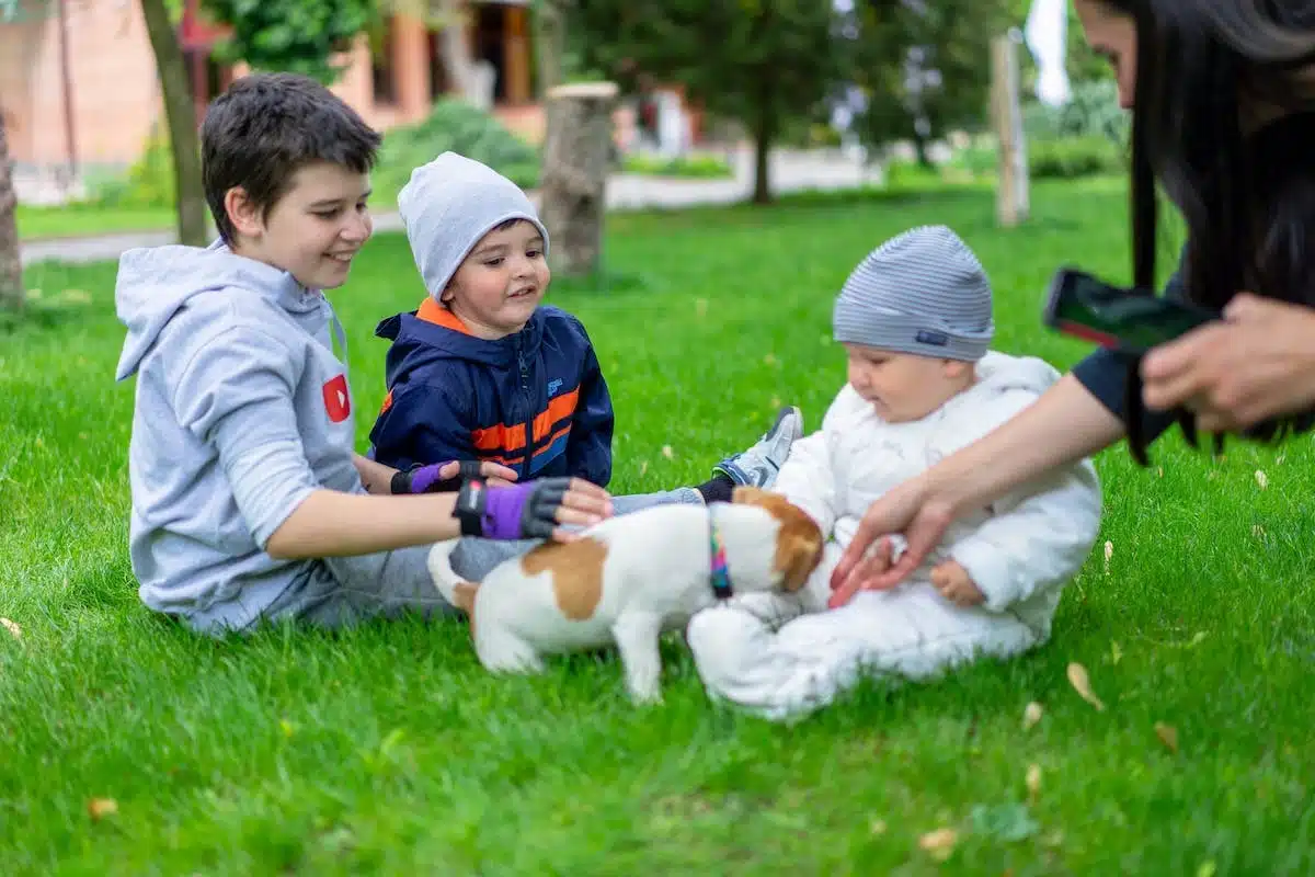 chiens  enfants