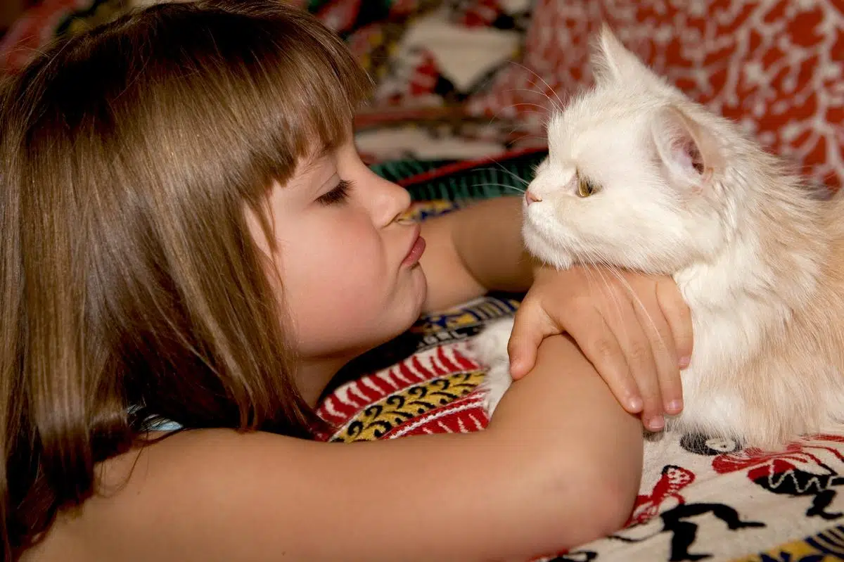 Un chat de compagnie avec un enfant