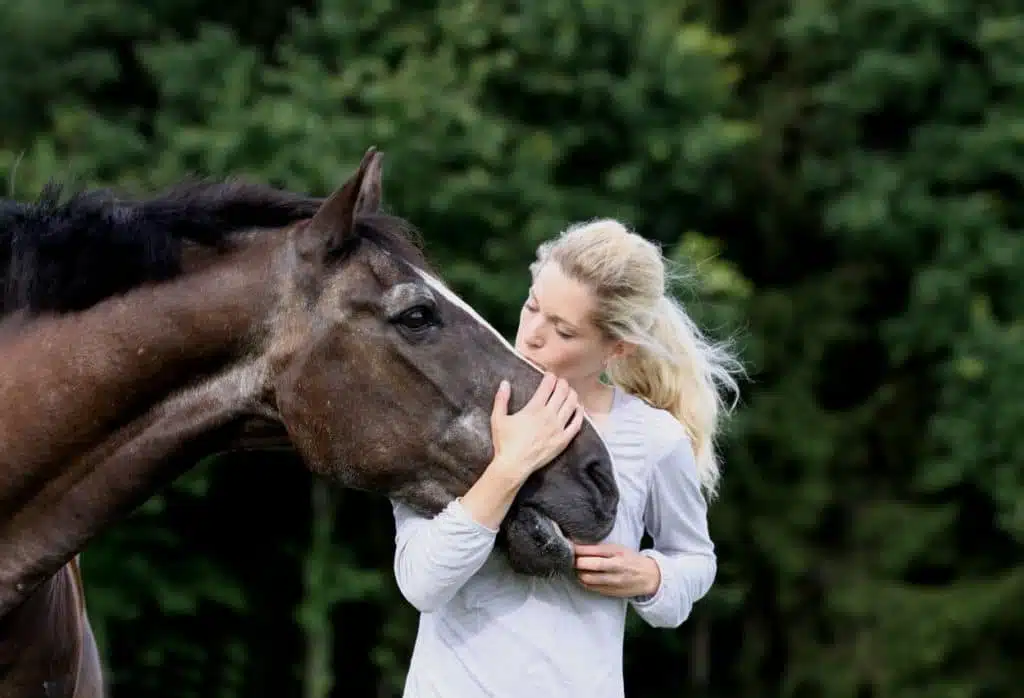 Pourquoi prendre soin de vos chevaux avec des produits spécialisés