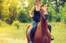 Pourquoi prendre soin de vos chevaux avec des produits spécialisés