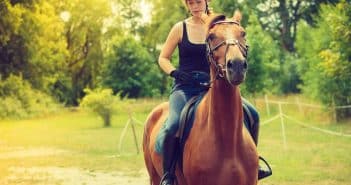 Pourquoi prendre soin de vos chevaux avec des produits spécialisés ? Pourquoi prendre soin de vos chevaux avec des produits spécialisés