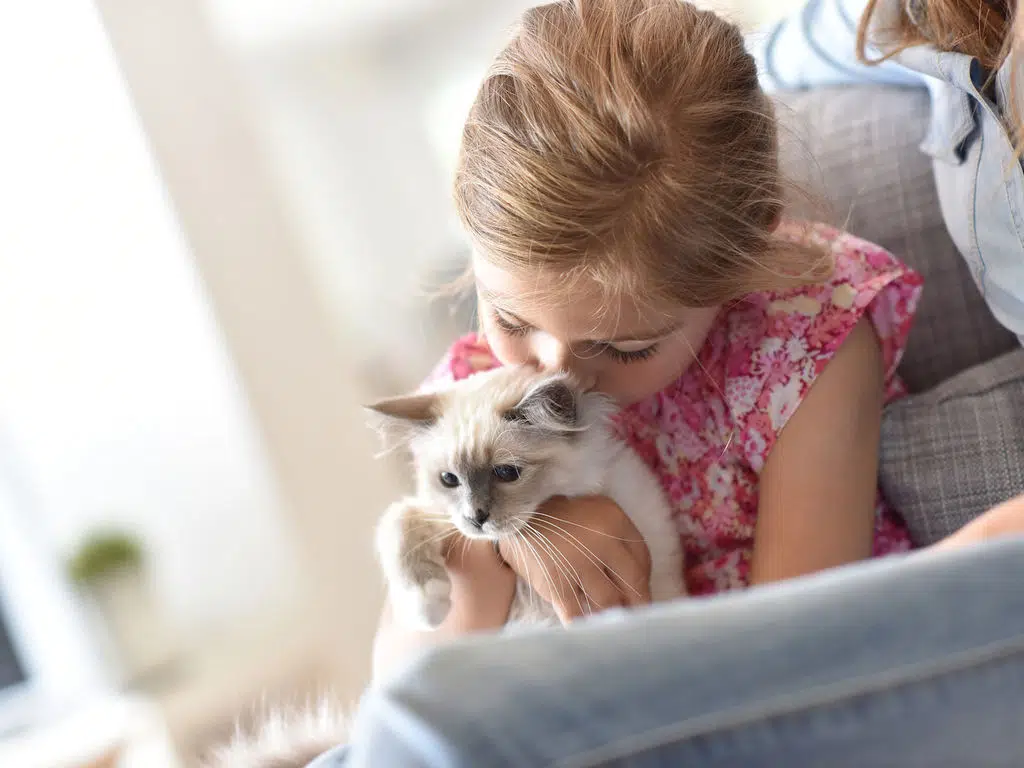 Une petite fille avec son chat de compagnie 