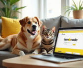 Assurance animaux Lemonade : quelle est sa date de création ?