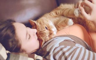 Quel est le chat le plus affectueux ?